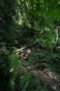 BIB: 5005
                            <button type="button" onclick="openModal(16028165)" class="btn btn-primary btn-sm float-right btn-popup" data-toggle="modal" data-target=".modal-high-quality">
                        <i class="fas fa-shopping-cart"></i> Add to Cart
                    </button>
                                            <button type="button" onclick="isThisMe(16028165, true)" class="btn btn-success btn-sm float-right btn-popup btn-isme hidden" data-toggle="tooltip" data-placement="bottom" title="นี่คือรูปของคุณใช่ไหม คลิกที่นี่เพื่อเอาเข้าอัลบั้ม">
                        <i class="fas fa-plus"></i> Add to album
                    </button>
                    <button type="button" onclick="isThisMe(16028165, false)" class="btn btn-warning btn-sm float-right btn-popup btn-isnotme hidden">
                        <i class="fas fa-ban"></i> Remove from album
                    </button>